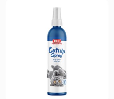 KOCIMIĘTKA W SPRAY'U
